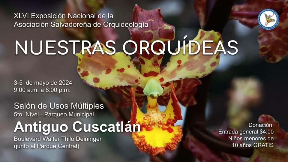 exposicion-nacional-nuestras-orquideas
