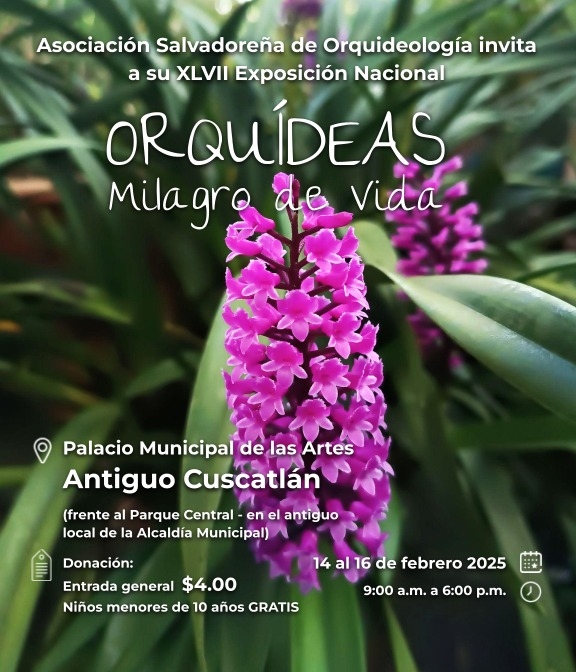 oquideas-milagro-de-vida